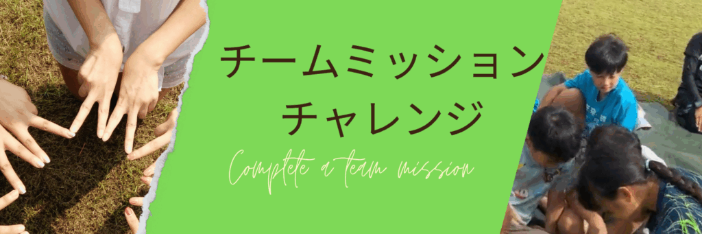 チームミッションチャレンジ