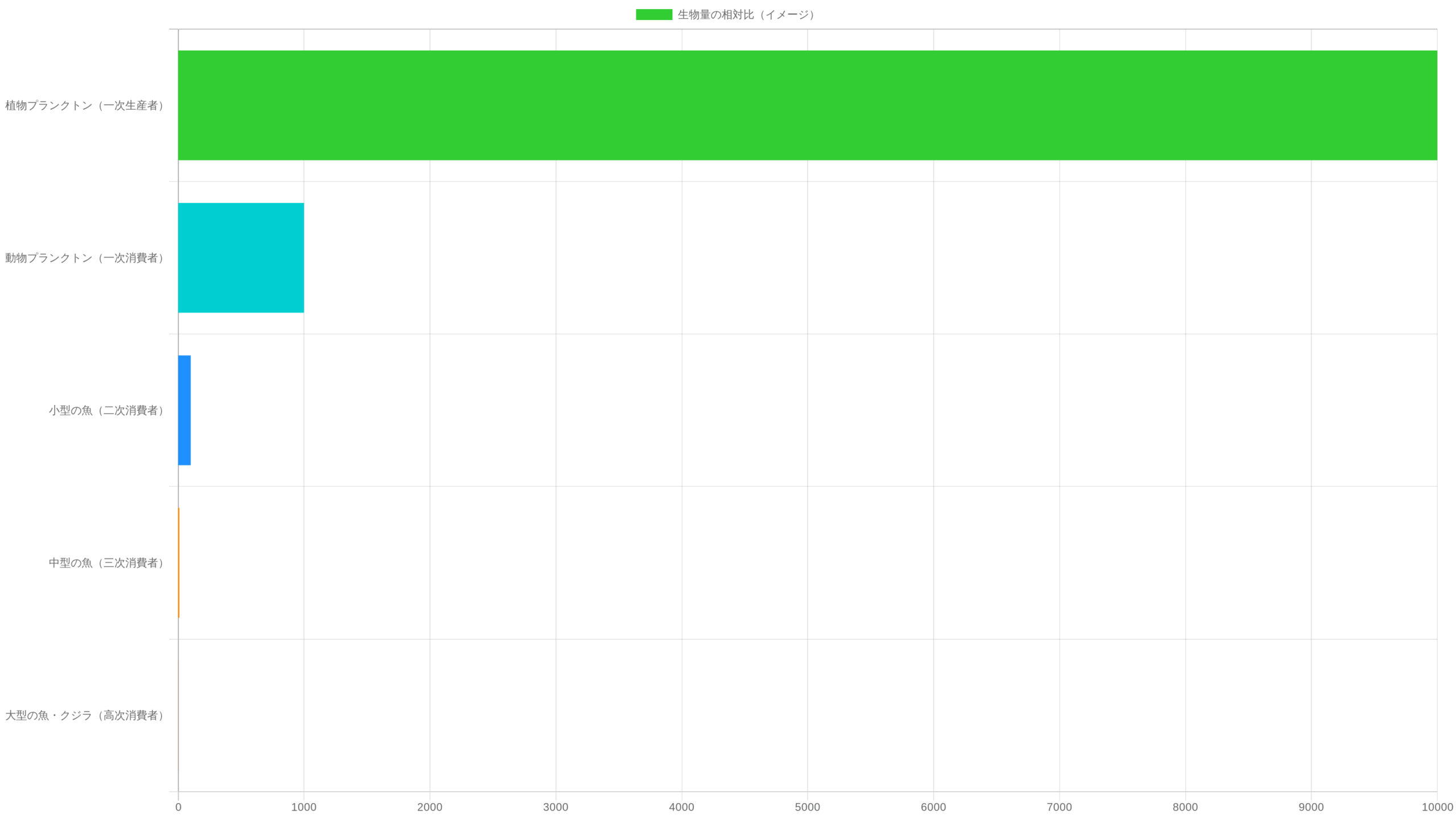 海の食物連鎖ピラミッドの各段階のバイオマス比較（棒グラフ）